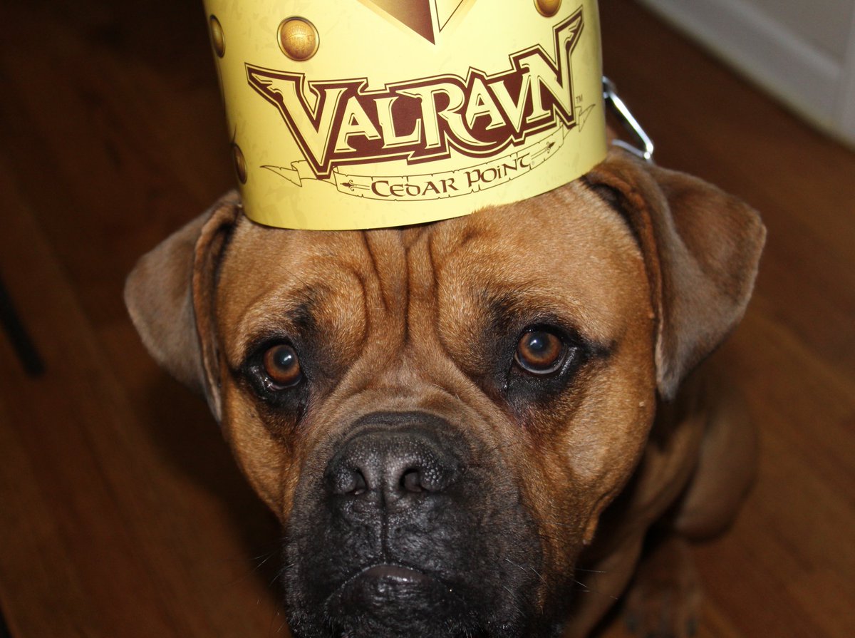 cpnerddotnet's tweet photo. @TonyClarkCP my dog was bummed that he didn't meet the height requirement for Valravn. https://t.co/NhO8nq7gTQ