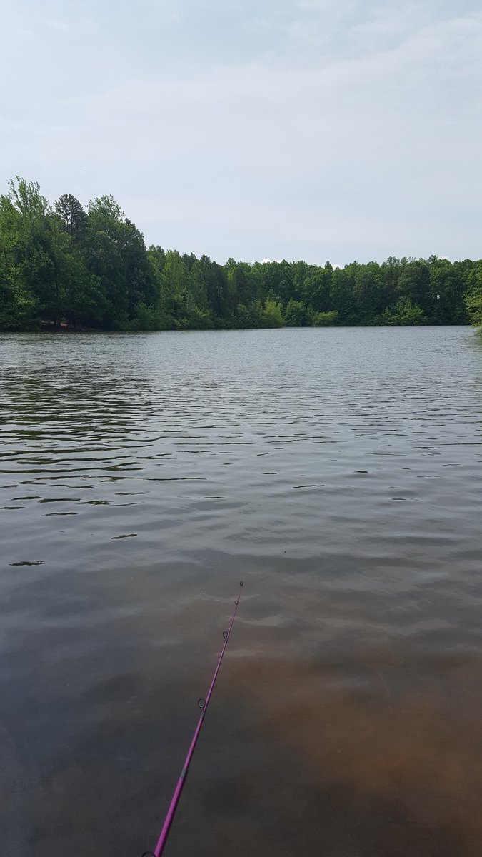 savannahsnow86's tweet photo. Fancy presents/dinner?! Oh no. Fishing, bologna burger and a peach milkshake is what I wanted #MothersDay #MayoLake https://t.co/yYv11QaAof