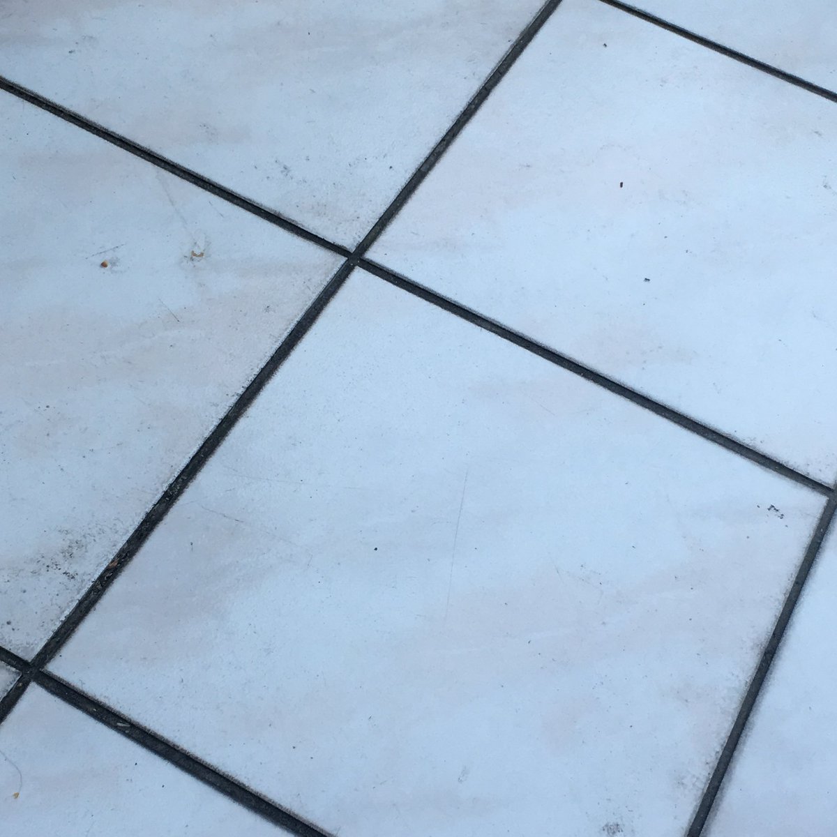 julienco_'s tweet photo. Ich halte meine Hand hin und der Kater steht auf und geht ..
Ich glaub er mag mich 😂😂 https://t.co/rz7RmIjR7Q