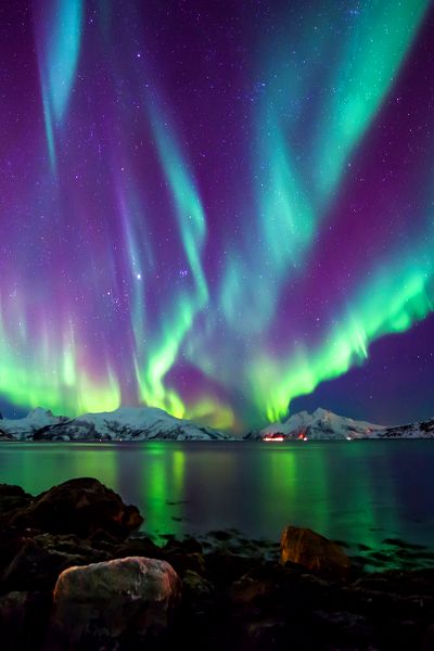 visatohomeUK's tweet photo. All our dreams can come true, if we have the courage to pursue them.
Walter Disney
#visatohome #thoughtsforthenight https://t.co/pydgT9tqvl