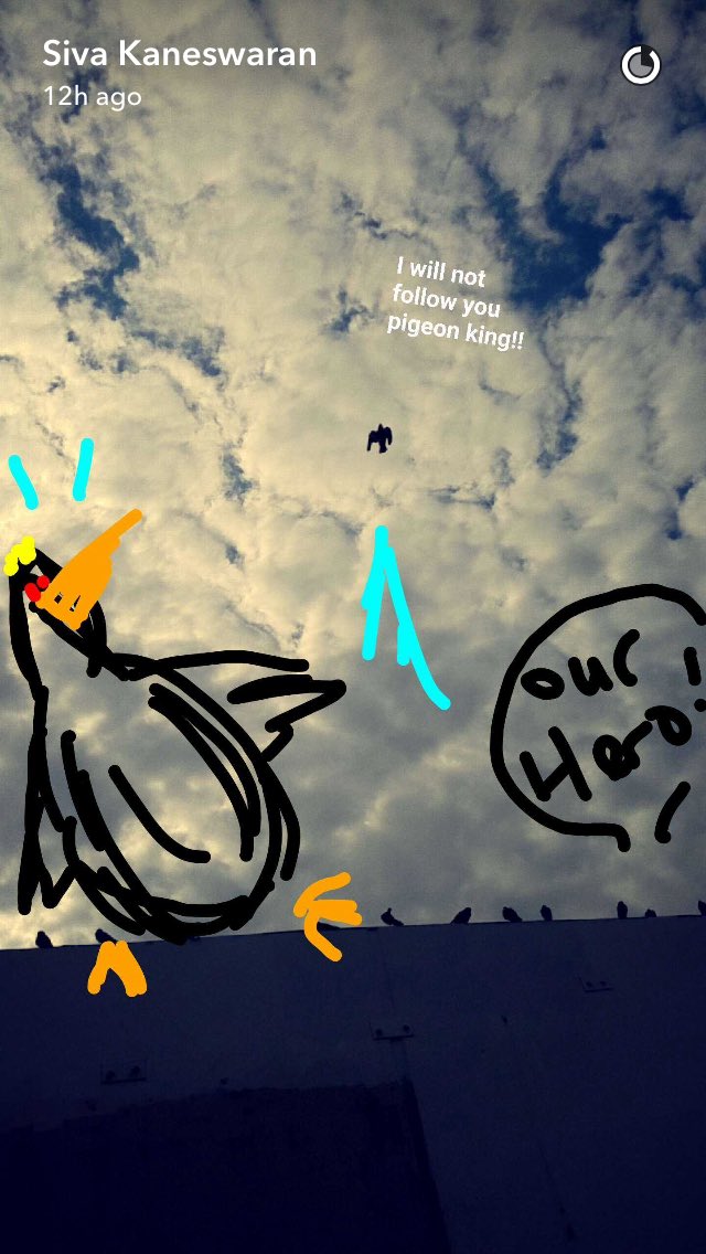 SivaUpdates's tweet photo. The story of the pigeon, by Siva Kaneswaran (via snapchat) https://t.co/sD7anEZ4KV
