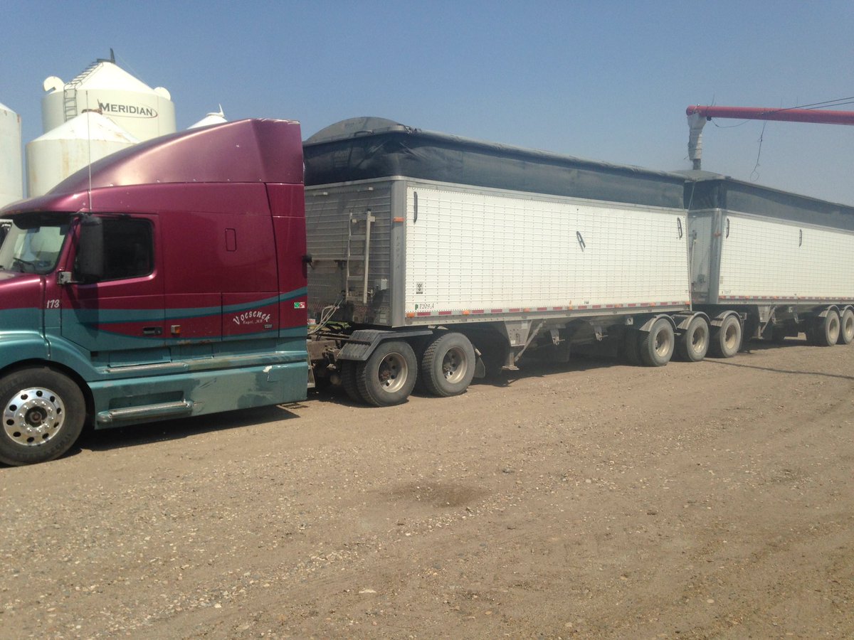 First load 2015 flowers out..😎