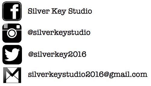 SilverKey2016 tweet picture