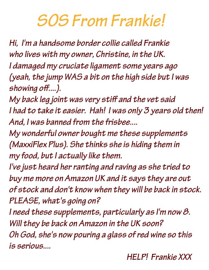 maxxipaws's tweet photo. Poor Frankie but all ends well https://t.co/wynFkVFdnW #dogslife #dog #dogjointsupplement #maxxiflexplus #maxxidog https://t.co/ktC8udJNBD