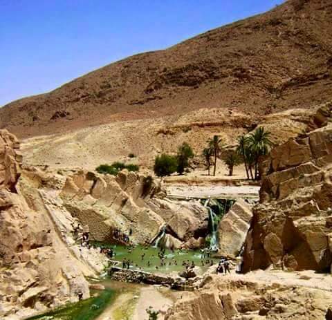 F_ZJBR's tweet photo. جمال بوسعادة من #الجزائر💜
وانا كنقول الحب ساهو مين جايبا سحرها وجمالها طلعت منطقتها اكثر من جميلة😍
@SuhilaBnLachhab https://t.co/26YAcpw5zp