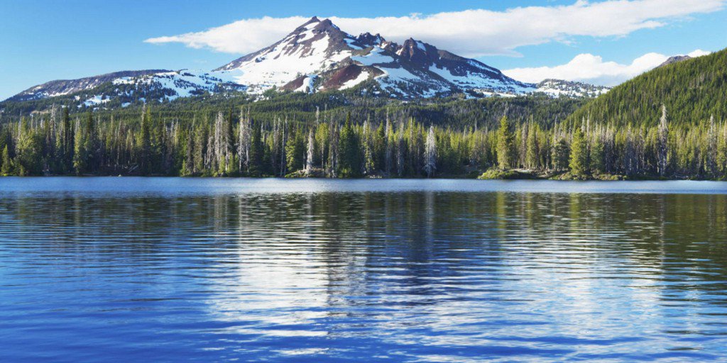 The 20 Most Beautiful Forests In America bit.ly/21LxAID