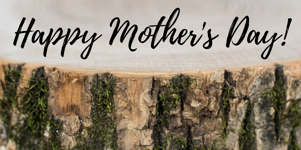WheelhouseTrade's tweet photo. We hope everyone has a safe and fun Mother's Day! https://t.co/j14V6YtioT