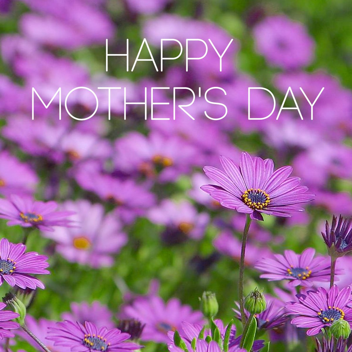Castro4Congress's tweet photo. To all of the incredible mothers out there: THANK YOU! https://t.co/pigCqCGXRe