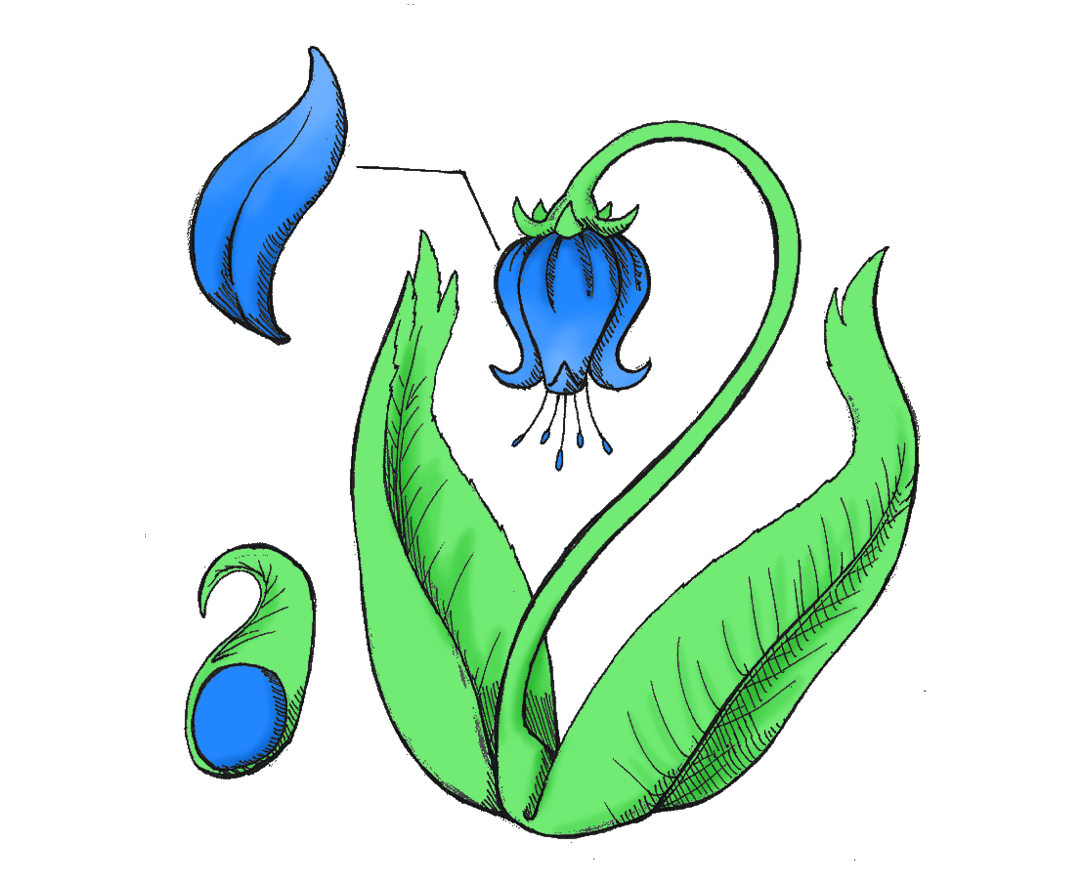 polyscapegames's tweet photo. Don't forget flowers for Mother's Day. Just don't make any poisonous tea with them! #happymothersday https://t.co/8lDCqbEX8H