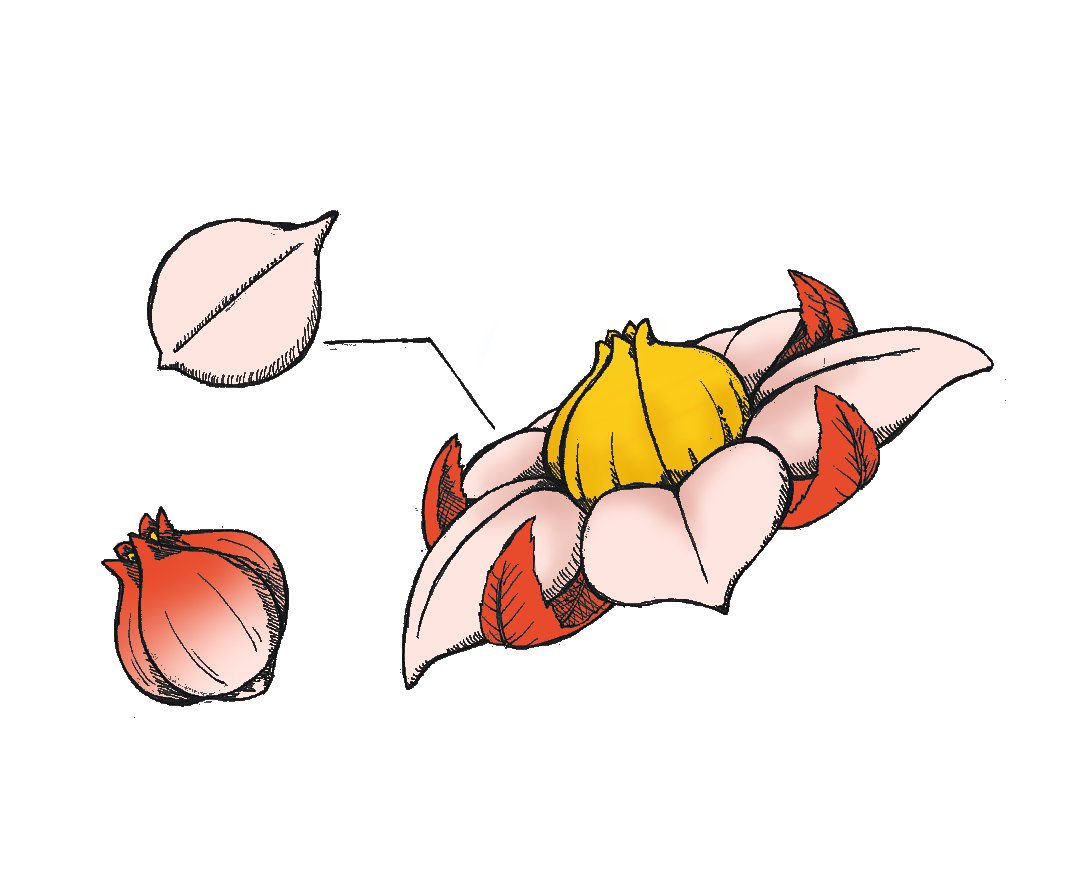 polyscapegames's tweet photo. Don't forget flowers for Mother's Day. Just don't make any poisonous tea with them! #happymothersday https://t.co/8lDCqbEX8H