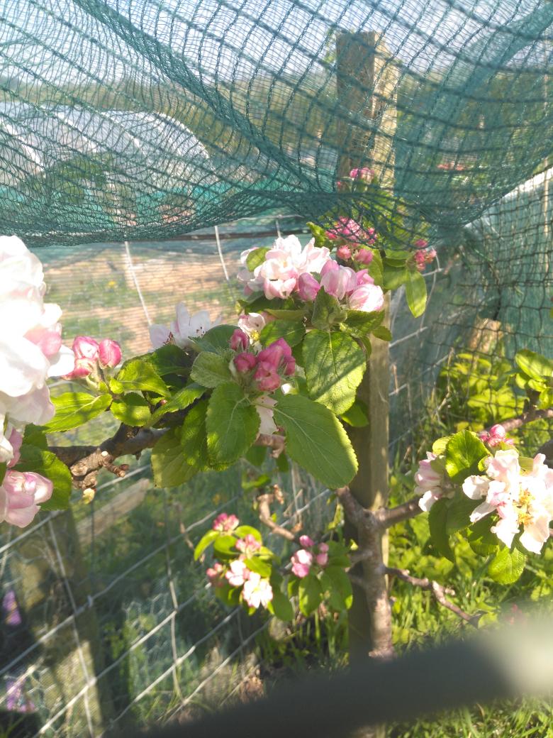 Jack Lenards tweet media