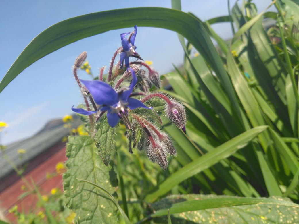 Jack Lenards tweet media