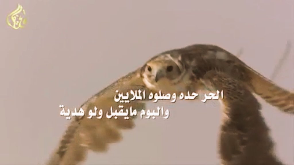 dodo2016d's tweet image. اعجبتني كتيرررر