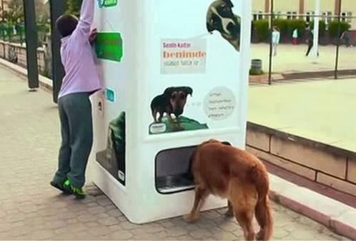 WhatTheFFacts's tweet photo. This vending machine in Istanbul dispenses dog food for homeless dogs when people put bottles in for recycling https://t.co/2ETpoK1BBU