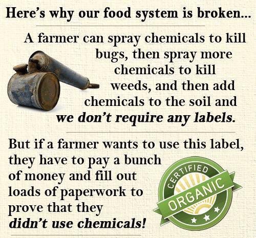 Fight Against GMOs (@say_no_gmo) on Twitter photo 