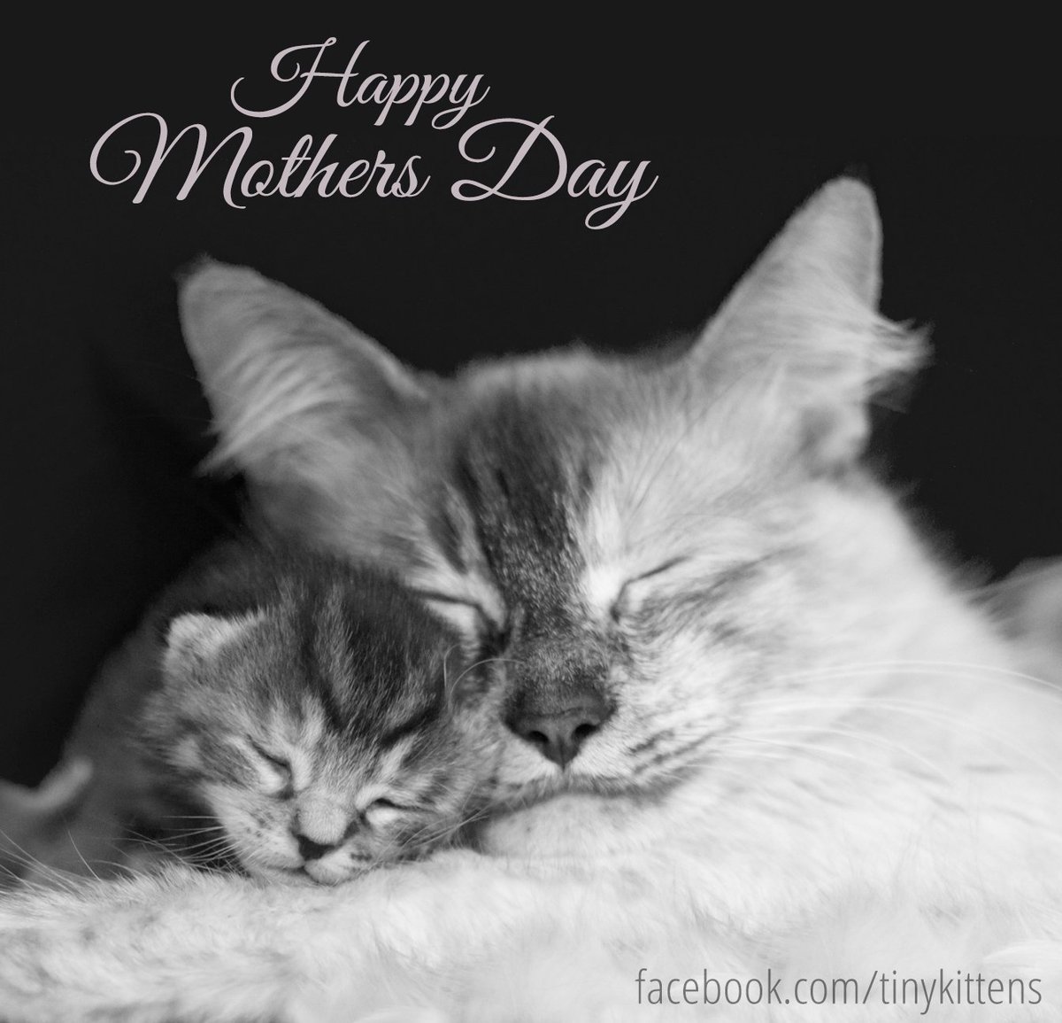 Happy Mother's Day to all the wonderful moms out there!