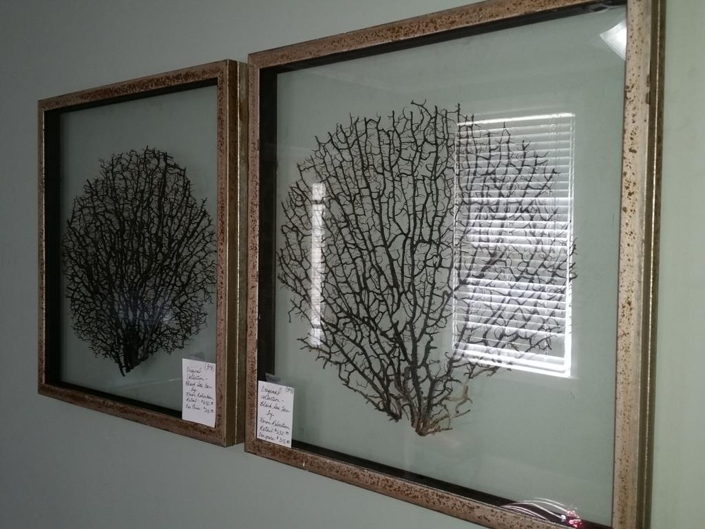 HandymnHusbands's tweet photo. It is not often we get asked to hang lifeforms from the ocean on the wall. Looks great, tho! https://t.co/8NT1361iNQ