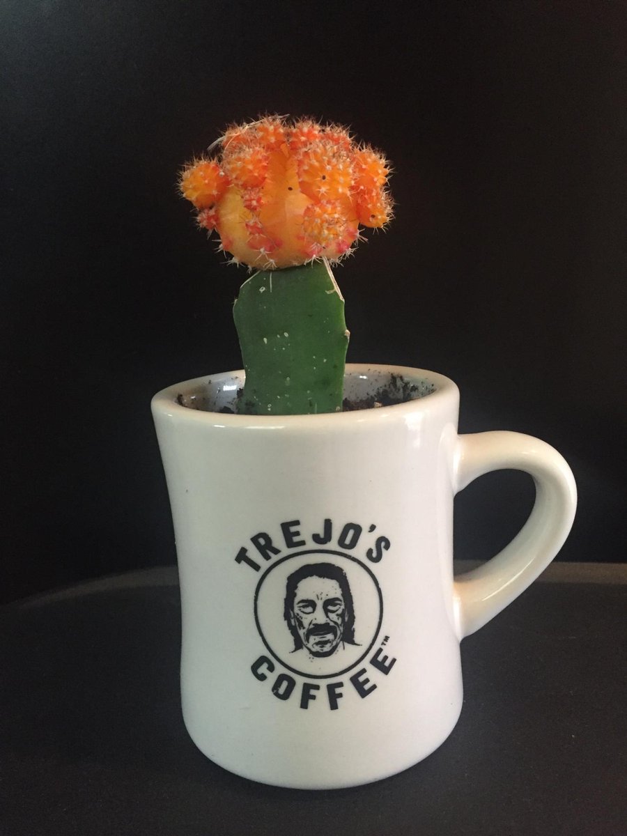 Happy #MothersDay https://t.co/geEtZ1oRzS