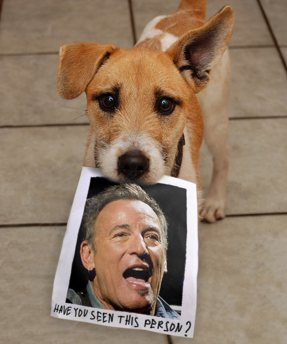 Springsteen2Wpg tweet picture