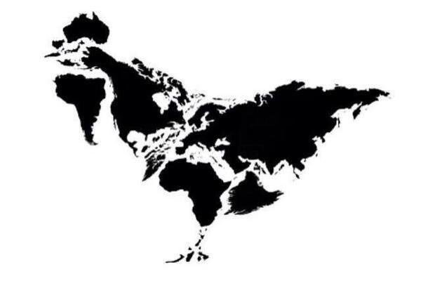 RSinclairAuthor's tweet photo. That's right, all the continents &amp; islands of the world can be arranged to form...a chicken.  The meaning of life?!😄 https://t.co/0SsfL2XyYF