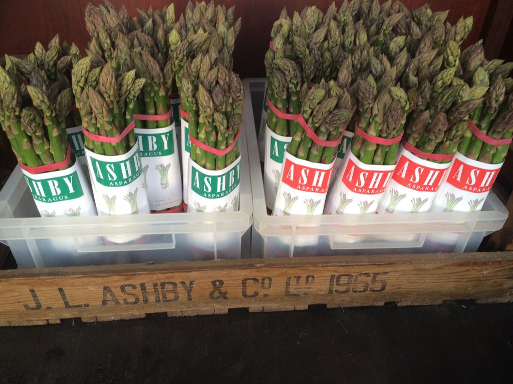 AshbyAsparagus's tweet photo. At last our asparagus has arrived!!! Great news https://t.co/y125u47KSK