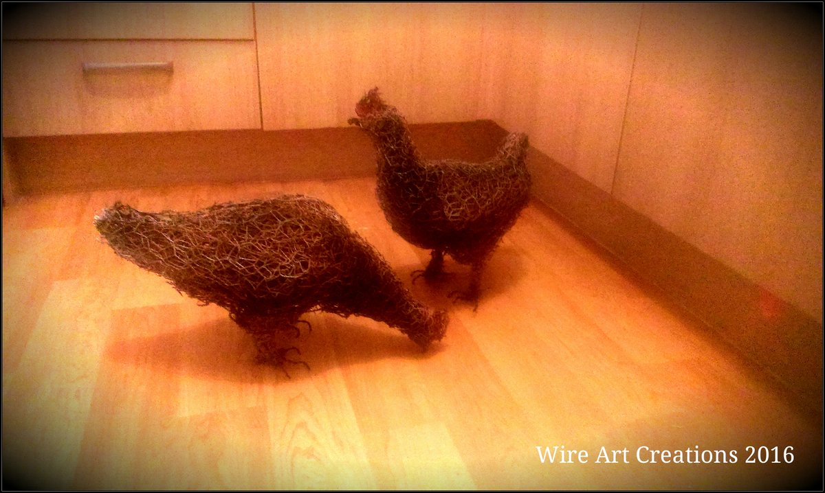 sgray046_art's tweet photo. Wire hens finished.
#wiresculpture #wireanimals #handmade #etsy #chickens #hen #farm #chickenwire https://t.co/7gUEgSCpJP