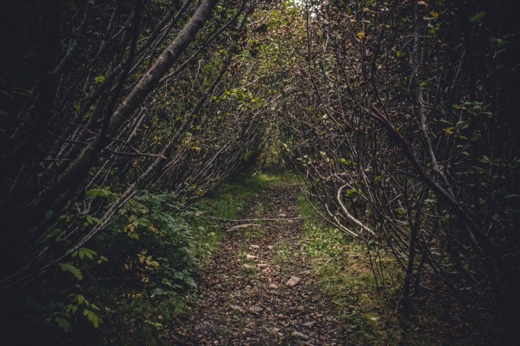 Guiides_com's tweet photo. Mountain Laughington - Guiides Journal https://t.co/0roFG3kMVJ https://t.co/JIAXoFDsD0