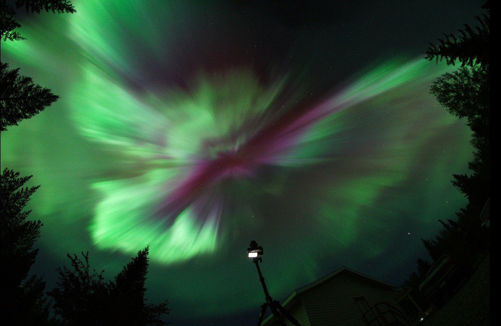 View image on Twitter