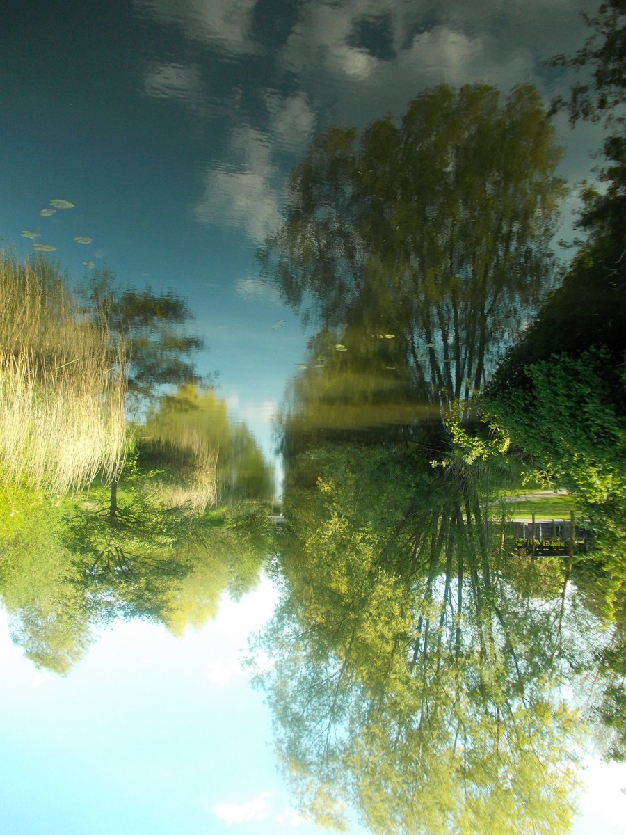 ReinTuinstra's tweet photo. #LayDownDay #Griftpark #Utrecht #Sensational https://t.co/xnP8rgm4dH
