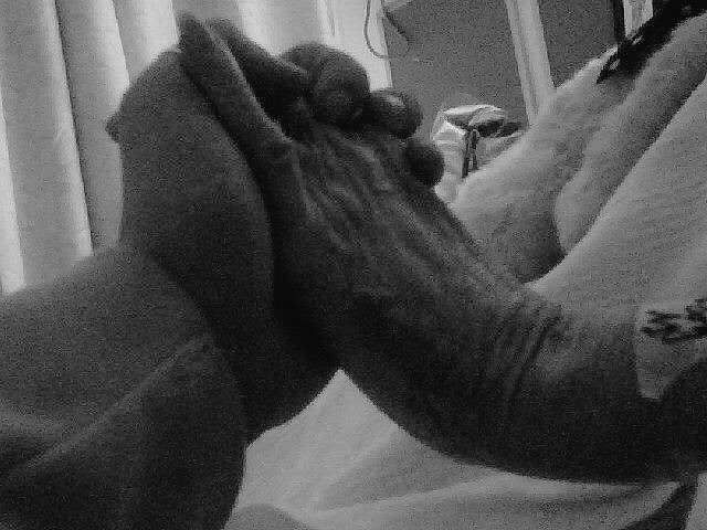 BrittyC11's tweet photo. Not a moment goes by I don't think of you. I'll forever cherish the last time I held your hand #RestInParadiseMa ❤️ https://t.co/ADJ92HPnQy