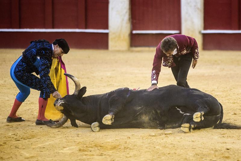 NOTORDESILLAS15's tweet photo. @robertszile Lūdzam atbalstu atcelšana pet.2164/14 buļļi
KULTŪRAS TRADĪCIJAS? NĒ, DZĪVNIEKU NOGALINĀT #NO13TFUE https://t.co/SsG5elagIP
