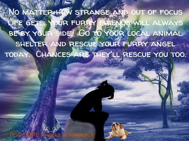 1AngelsProject's tweet photo. #theangelsproject #kimberly #rsd #crps #chronicpain #chronicillness #pets #animalrescue #awareness #youmatter https://t.co/idxJ0BrnhA