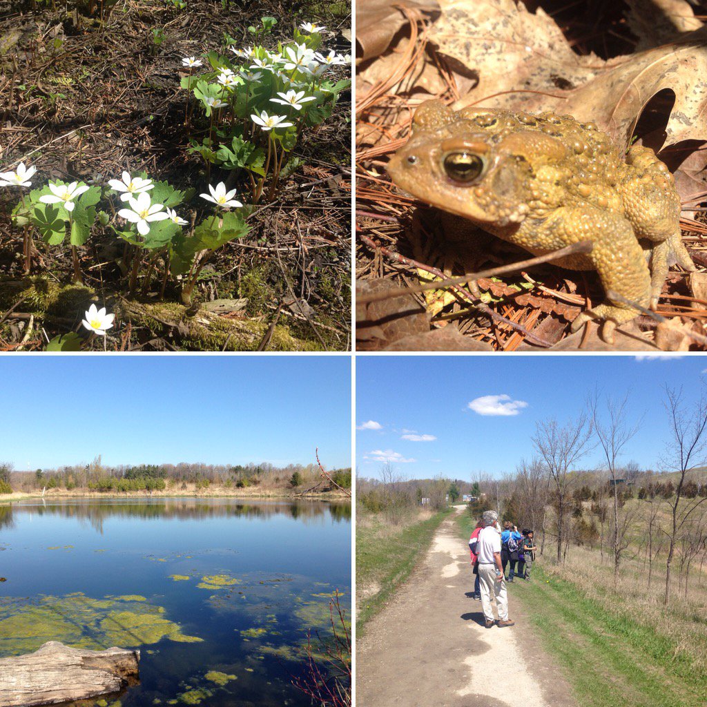 Amazing! 40 people braved the cold &amp; rain for our <a href="/JanesWalkTO/">Jane's Walk Toronto</a> in the Rouge today! #loveTOwalk