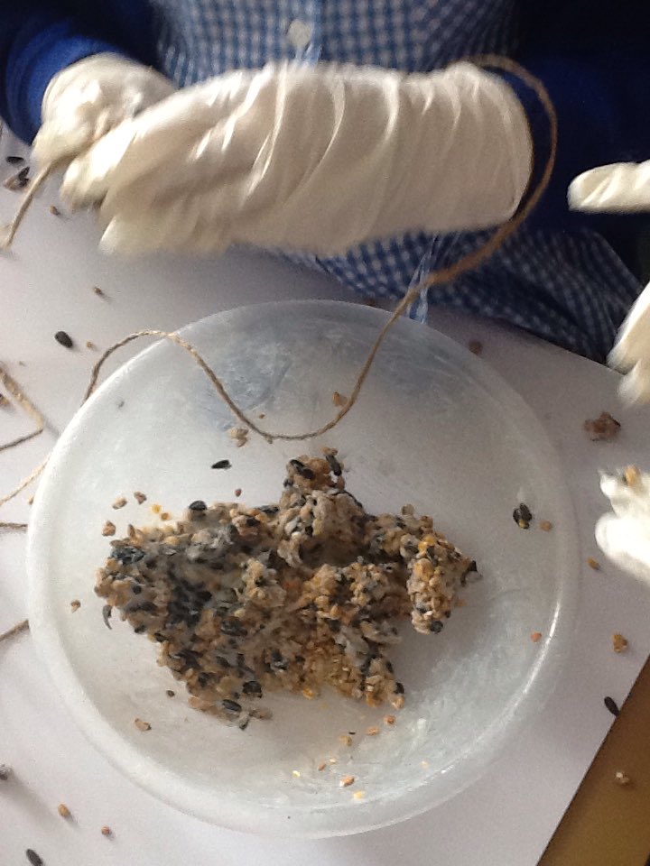 KNoon36's tweet photo. Nature club creating a feast for the birds!
Battyeford bird bistro is open!@Battyeford @Battyeford @KNoon36 https://t.co/USj3Vh1Dio