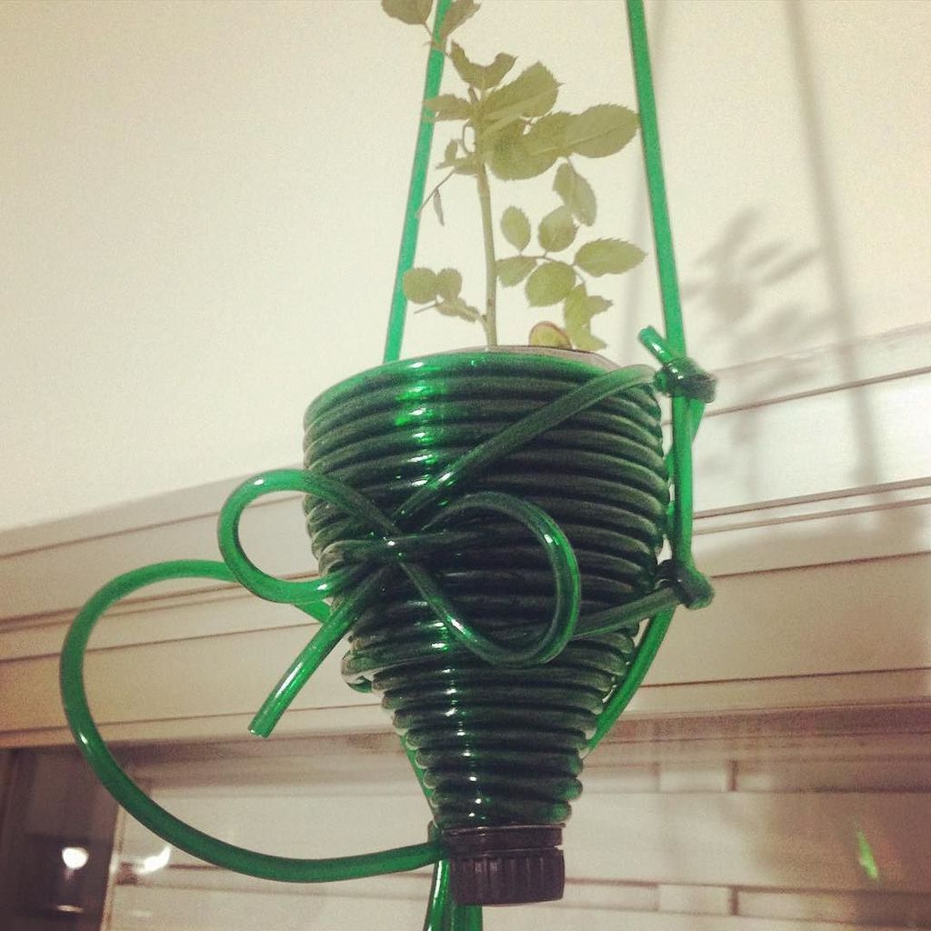 LovenAcademy's tweet image. #dGreenSP #SpaghettiCollection #PluginBow #vasinho #sustentável #monomaterial e #funcional #vaso #vasoplugin para e…