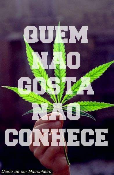 AlissonBerre's tweet photo. Suave https://t.co/mjzo9hhPSe
