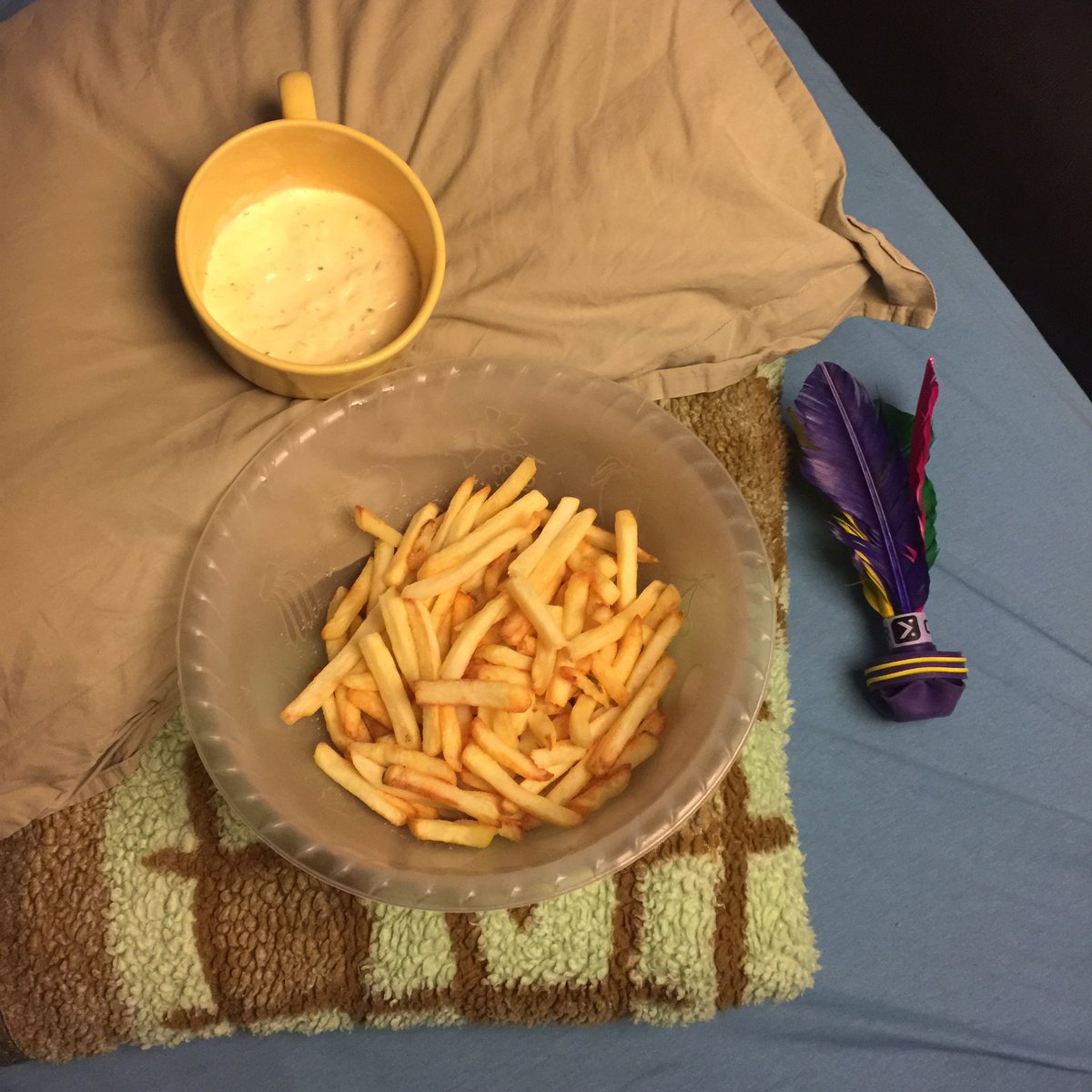 MauroNakada's tweet image. Eu passei por todos os teste na minha vida. E finalmente estou apto para casar! Sei fazer batata e maionese verde 💚