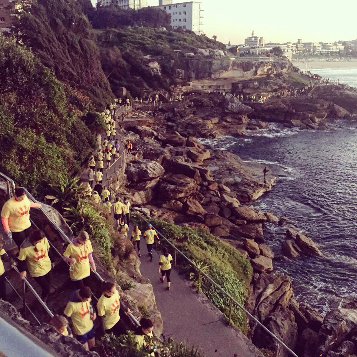 DILSydney's tweet image. So many amazing photos taken by our team on Saturday but this one has to be up there! @BatyrAus @PietaHouse