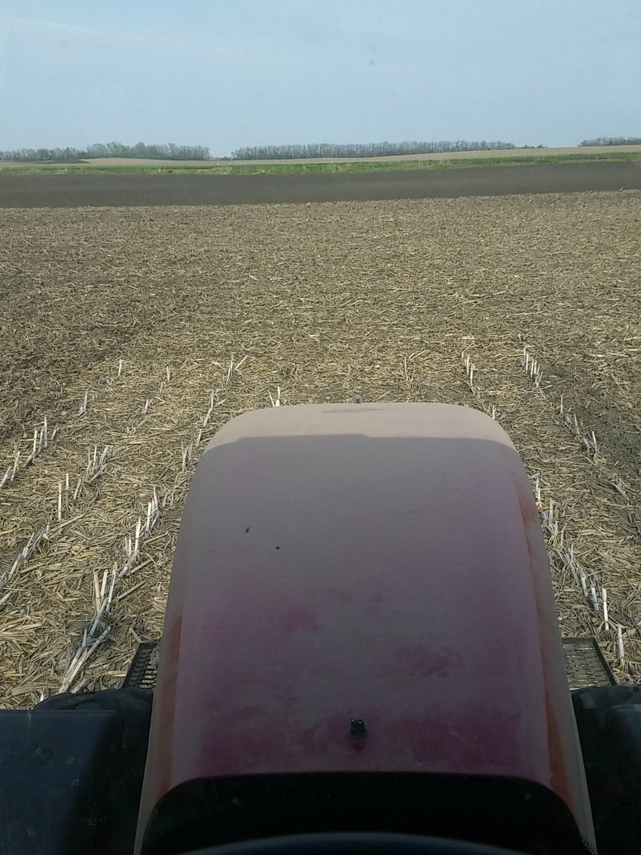 CaseFarmer1208's tweet photo. Crossing the finish line on #plant16 #donethefirsttime https://t.co/hkj70E0nZc