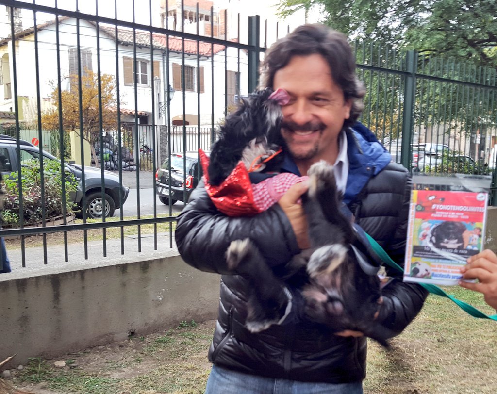 .<a href="/GustavoSaenzOK/">Gustavo Sáenz</a>: "Tener una mascota es un derecho pero también una responsabilidad"