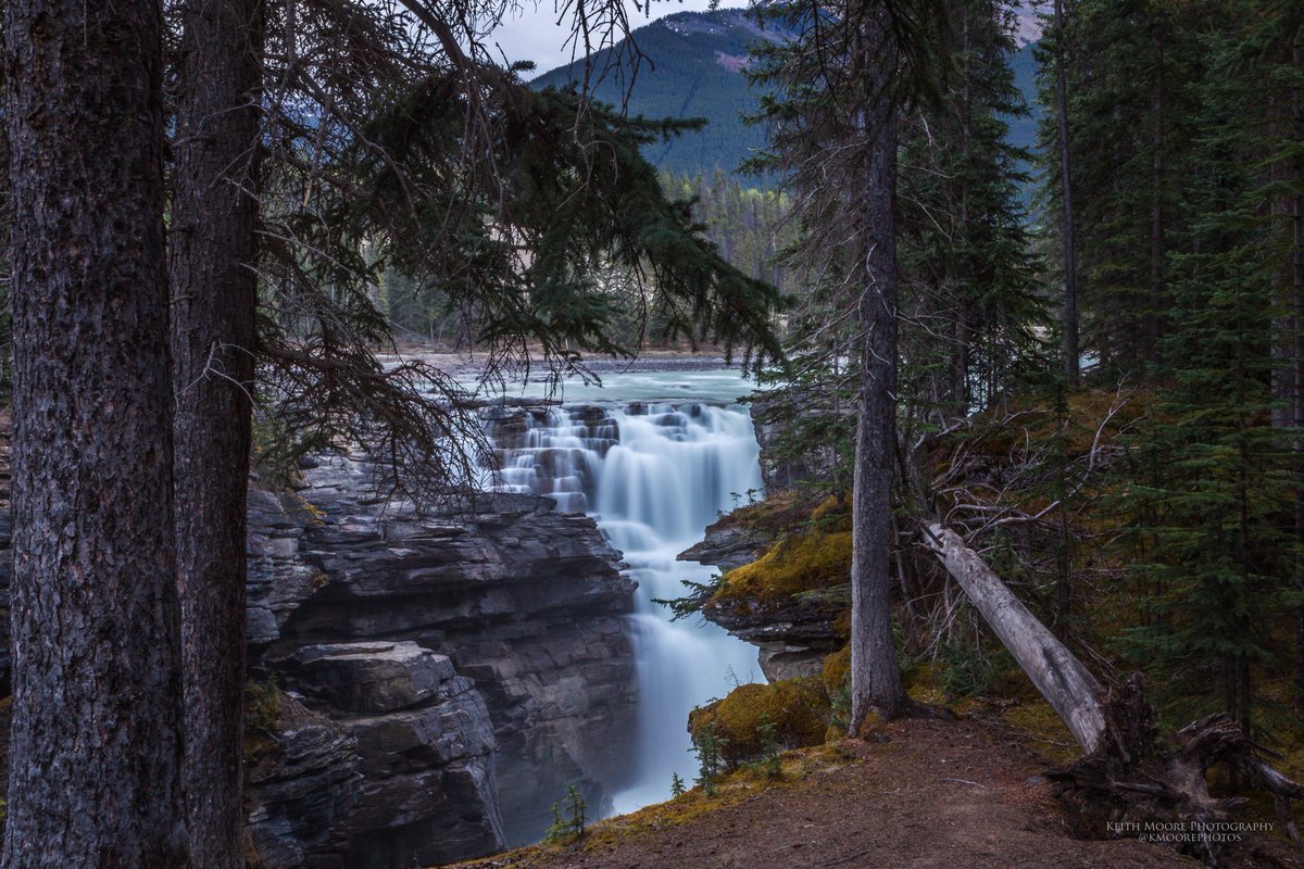 kmoorephotos's tweet photo. I left this morning at 2am to be at Athabasca Falls for the sunrise! #Yeg #explorealberta #yegwx #MyJasper https://t.co/ejw1jB8sFO