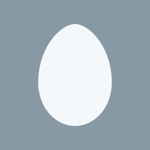 CKailor tweet picture
