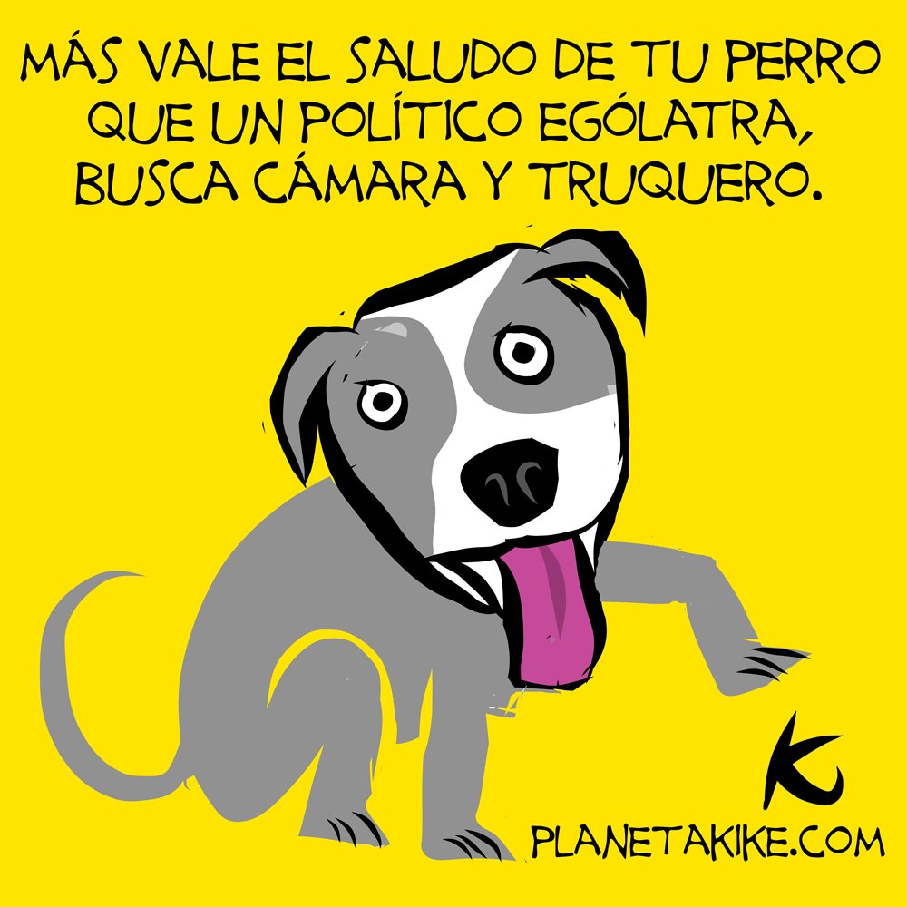 PlanetaKike1's tweet image. Más vale el saludo de tu perro... ow.ly/4n8po0 .@minhpuertorico #QuieroCamara #YoDeclaro #soycentrodetodo