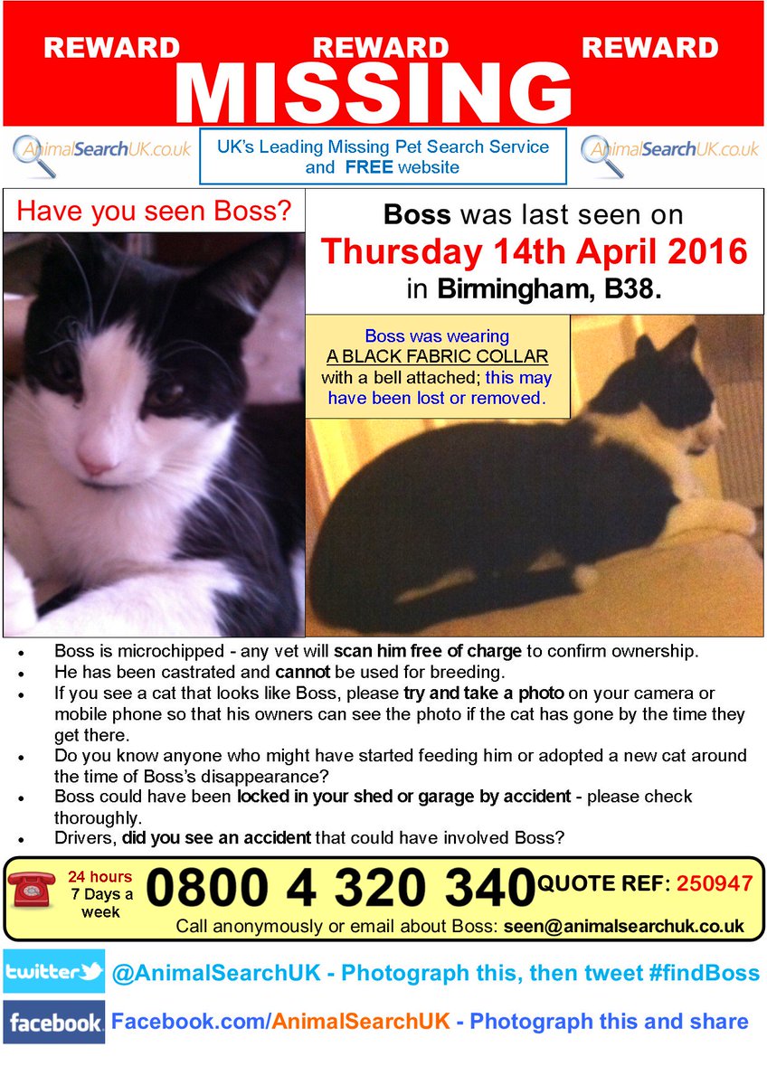 PLZ RT @FeelGoodPark <a href="/BirminghamCP/">Bham Cats Protection</a> #missingcat #birmingham #B38
#findboss
animalsearchuk.co.uk/find-lost-pets…