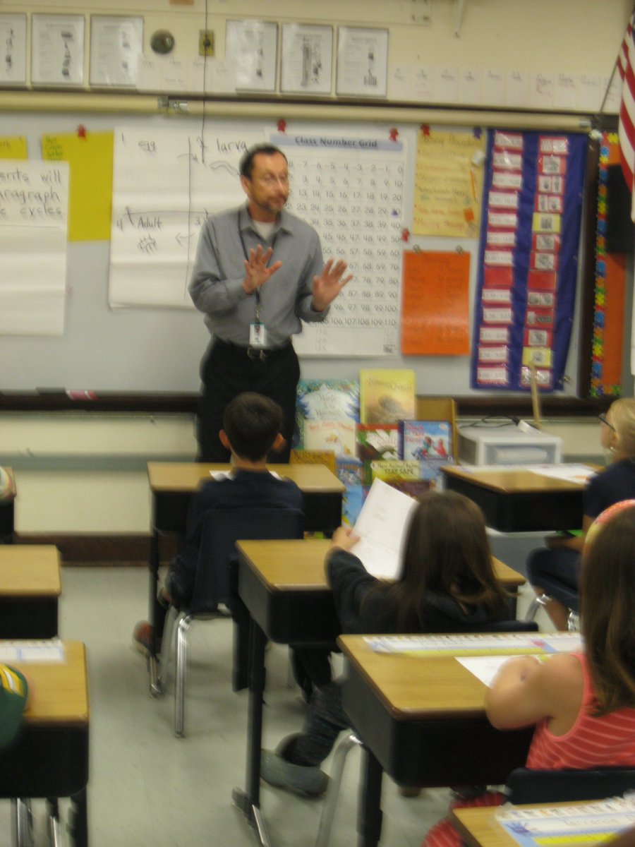 js_murphy66's tweet image. Graphic organizers, sequencing text structure, mealworm life cycle, IN ONE LESSON #signalwords #GWAEA, #washpride