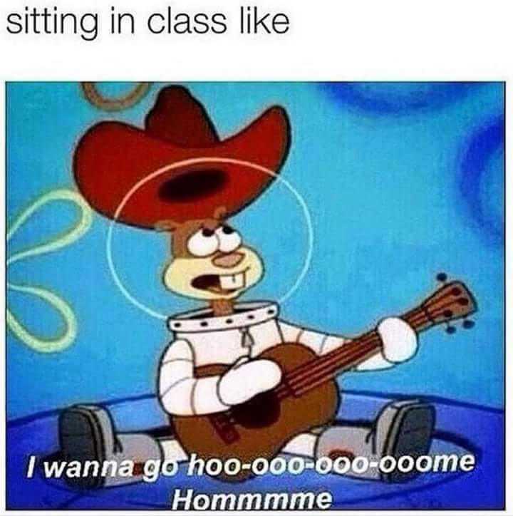 AmandaLoveGates's tweet photo. #butcanI #GradSchoolProblems https://t.co/eV0RL9sdnw