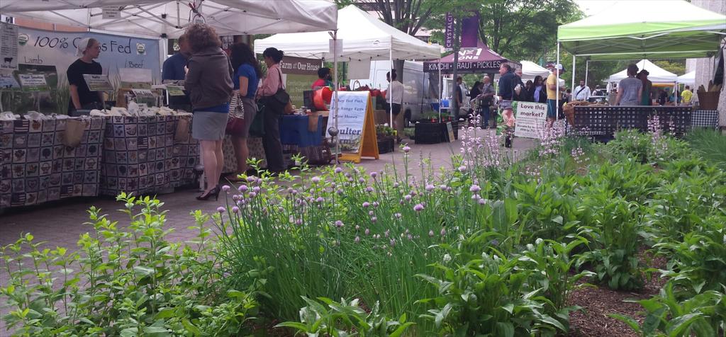 FRESHFARMCrystl's tweet photo. #crystalfarms perfect market day till 7
#produceronly #farmersmarket @BloombergBNA https://t.co/xY6DevVqjD