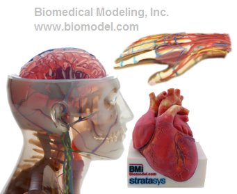 Biomedical Modeling (@bmi_biomodel) / Posts / X