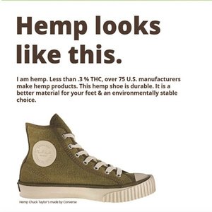 NurseMaryJInk's tweet photo. RT to Educate!  Hemp looks like this https://t.co/W5YTaME32F