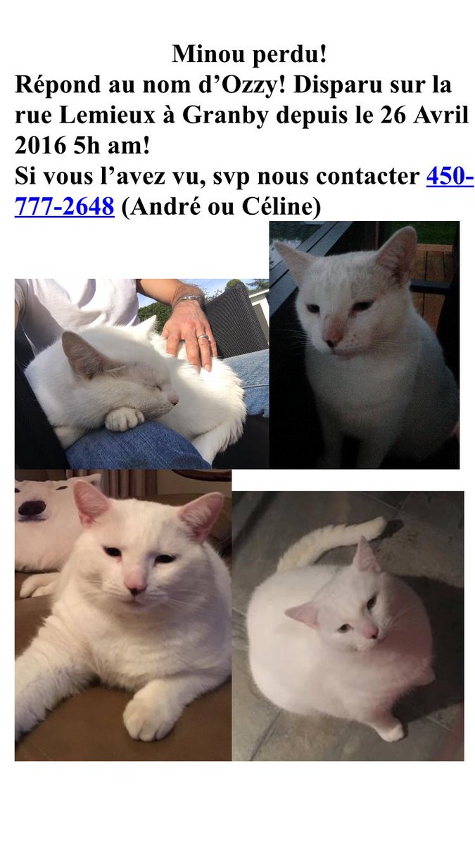 apelletier007's tweet image. ☹️☹️☹️ il ne s'est jamais absenté si longtemps, si vous l'avez vu svp nous contacter.